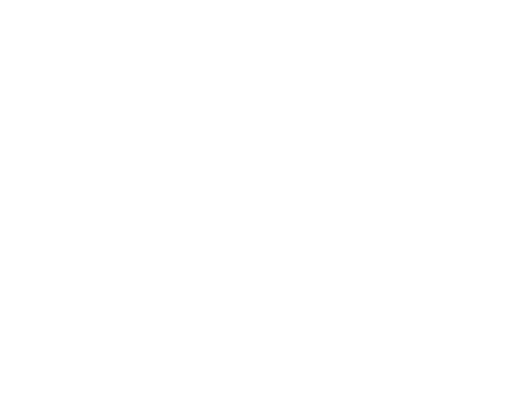 Boru